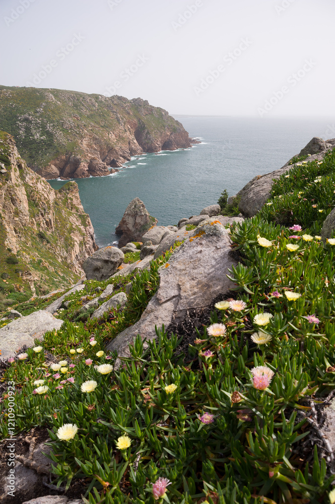 Coastal Cliffs and Wildflowers at Cabo da Roca, Portugal