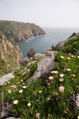 Obraz na płótnie Coastal Cliffs and Wildflowers at Cabo da Roca, Portugal w salonie