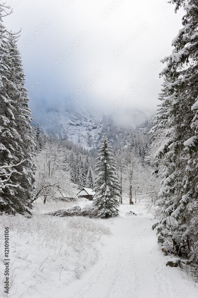 Snowy Path and Cabin in Mountain Winter Landscape.