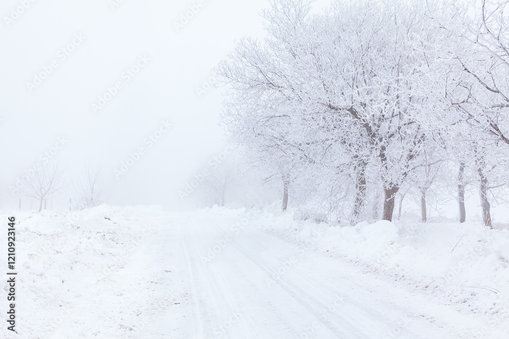 Serene winter landscape with a snow covered road flanked by trees, all blanketed in heavy snowfall. Scene exudes calmness and quiet, capturing the essence of a peaceful winter day
