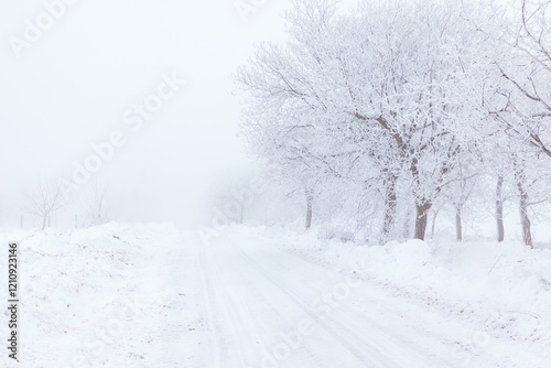 Obraz na płótnie Serene winter landscape with a snow covered road flanked by trees, all blanketed in heavy snowfall. Scene exudes calmness and quiet, capturing the essence of a peaceful winter day w salonie