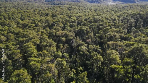 Aerial Journey Over Lush Forest to Snow-Capped Volcano