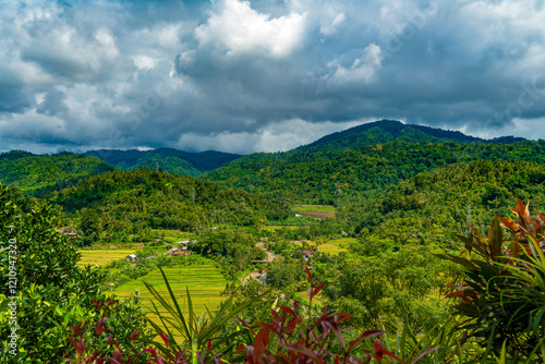 Beautiful rice field in Pupuan Bali Indonesia