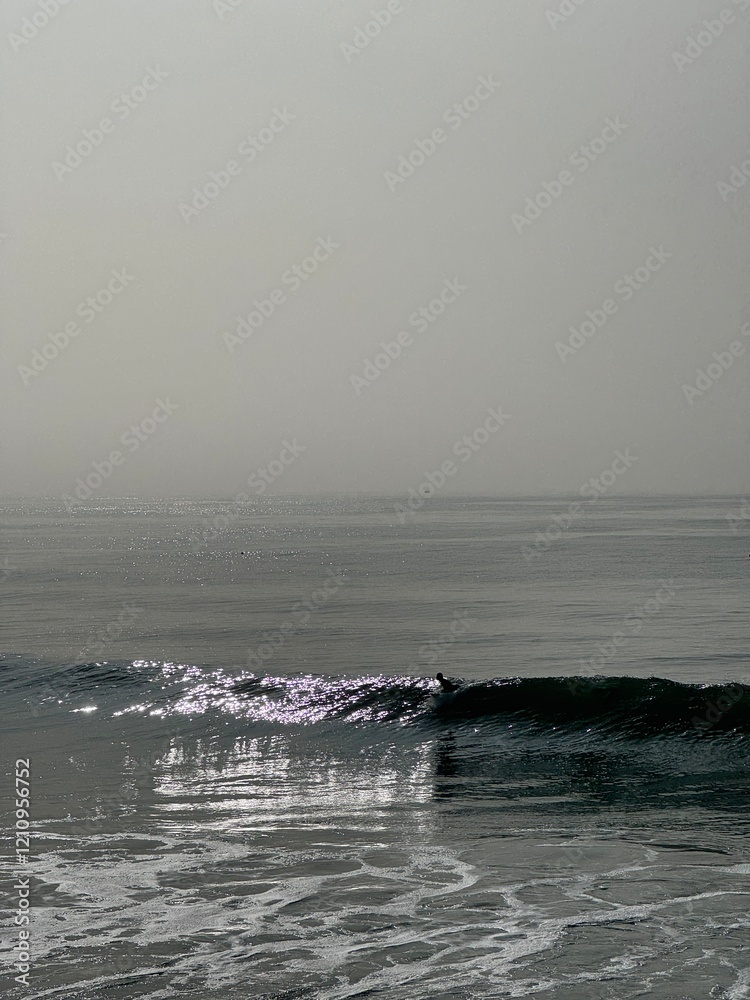 Obraz premium Venice Beach Surfer