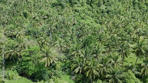 Experience a breathtaking tilt-up drone reveal over a lush mountain rainforest in Surigao del Norte, Mindanao. Discover untouched nature, vibrant green ecosystem, and pristine habitat