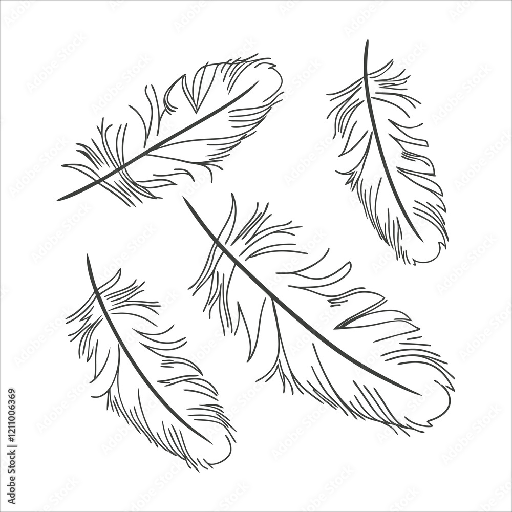 Obraz premium feather and plume silhouette vector illustration.