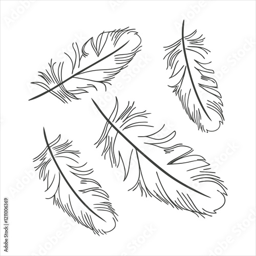 feather and plume silhouette vector illustration.