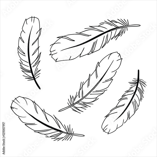 feather and plume silhouette vector illustration.