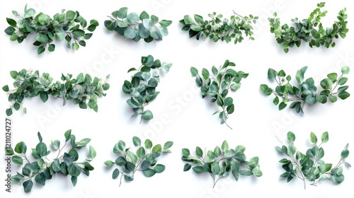 Wallpaper Mural Set of green eucalyptus leaves forming natural frames, cut out Torontodigital.ca