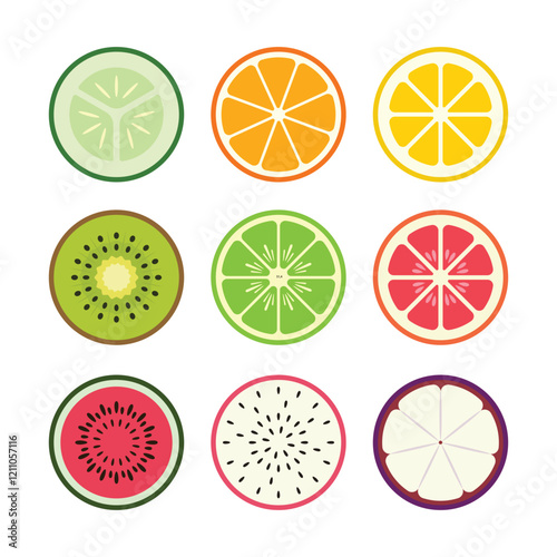 Slice of Round Fruit Vector Illustration