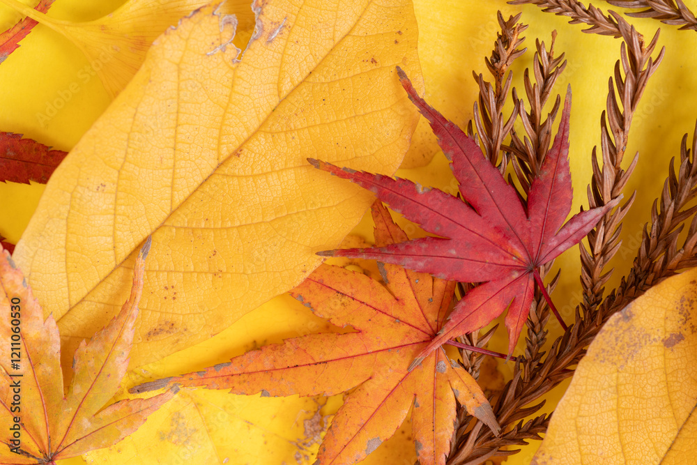 Obraz premium 黄色の背景に並んでいる紅葉した葉
