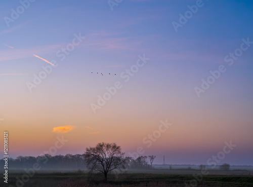 After sunset in the Comacchio Valleys in winter, this wetland is part of the Po Delta Regional Park. Province of Ferrara, Emilia-Romagna, Italy photo