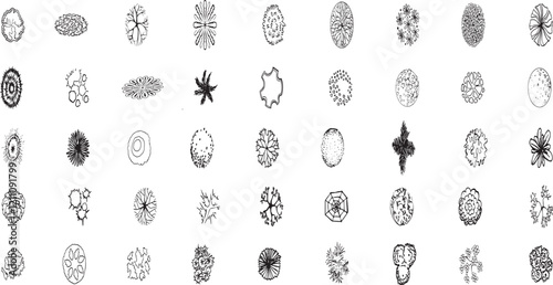 Tree top view line illustrations, perfect treetop for architectural plans, landscape design, and urban planning projects. 