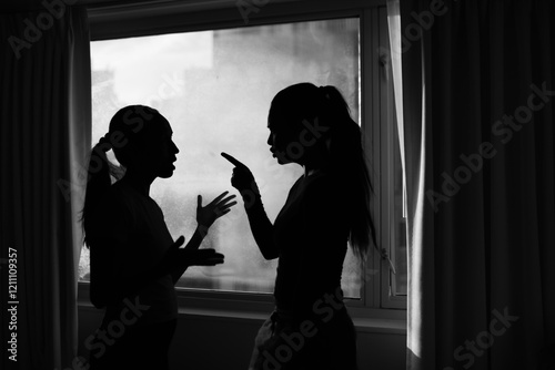 two woman fighting, arguing, having disagreement, blaming, pointing finger, verbal abuse, family relationship problems