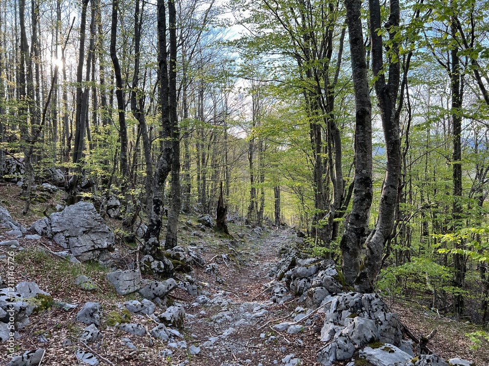 Premuzic hiking trail or Premuzic Trail - Velebit Nature Park, Croatia or Premuzic-Wanderweg or Premuzic's Trail (Pješački planinarski put Premužićeva staza - Park prirode Velebit, Hrvatska) Premuzic hiking trail or Premuzic Trail - Velebit Nature Park, Croatia or Premuzic-Wanderweg or Premuzic's Trail (Pješački planinarski put Premužićeva staza - Park prirode Velebit, Hrvatska)