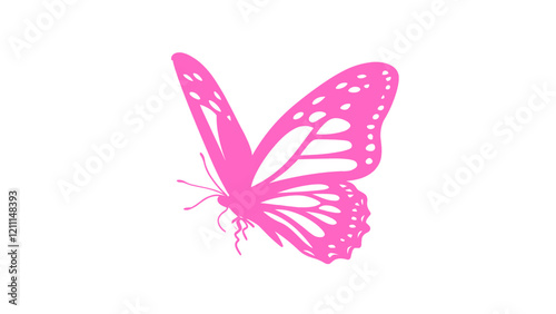 butterfly isolated on white