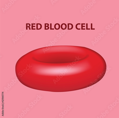 red blood cell illustration