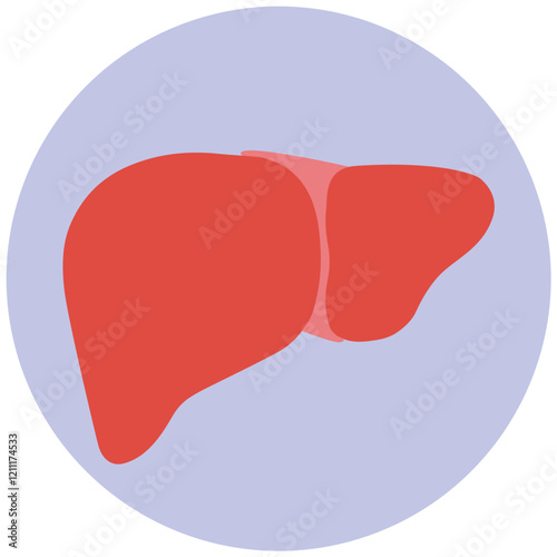 장기 내장 일러스트 건강검진 암 검진 a healthy gut | Hospital organ cancer vector illustration