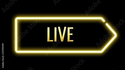 Live match sports team playing. cricket, football, hockey, volleyball. champions, winner
