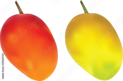Realistic Ripe Mangoes Vector Illustration 