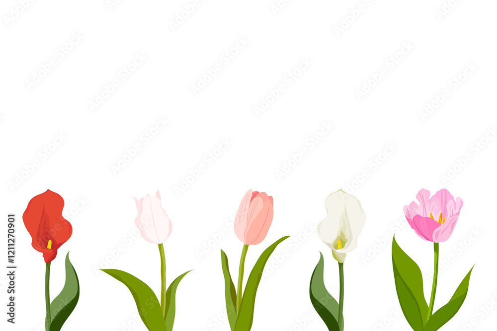 Fototapeta premium Tulip flowers png border frame, transparent background