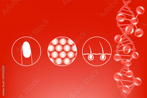 Hyaluronic acid skin hair nails solutions ad, red collagen serum drop with cosmetic advertising background ready to use, illustration vector.	
