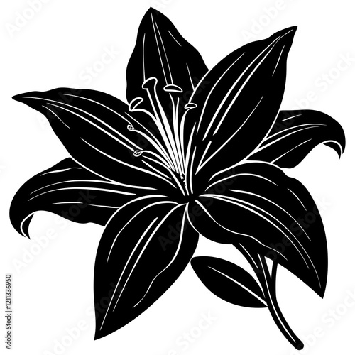 Elegant Lily Silhouette on White