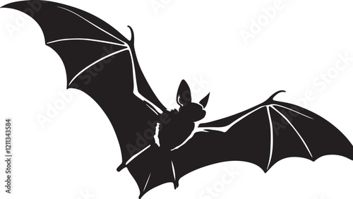 bat on a white background