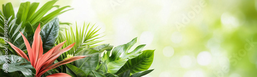 Tropical Paradise: Lush, vi...