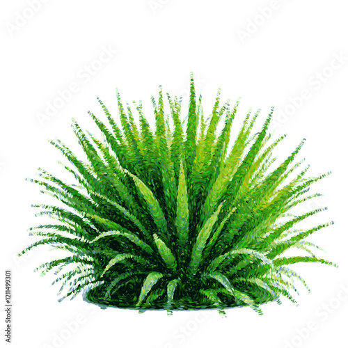 Green bush illustration vector, foliage plant natural, isolated herbal shrub