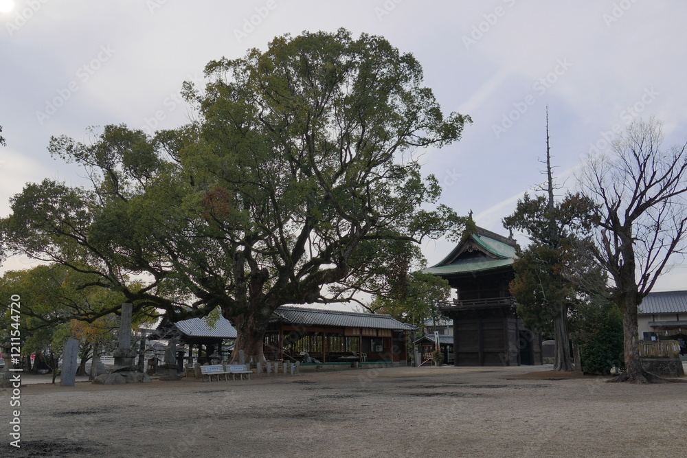 Obraz premium 福岡県 大善寺 玉垂宮の境内