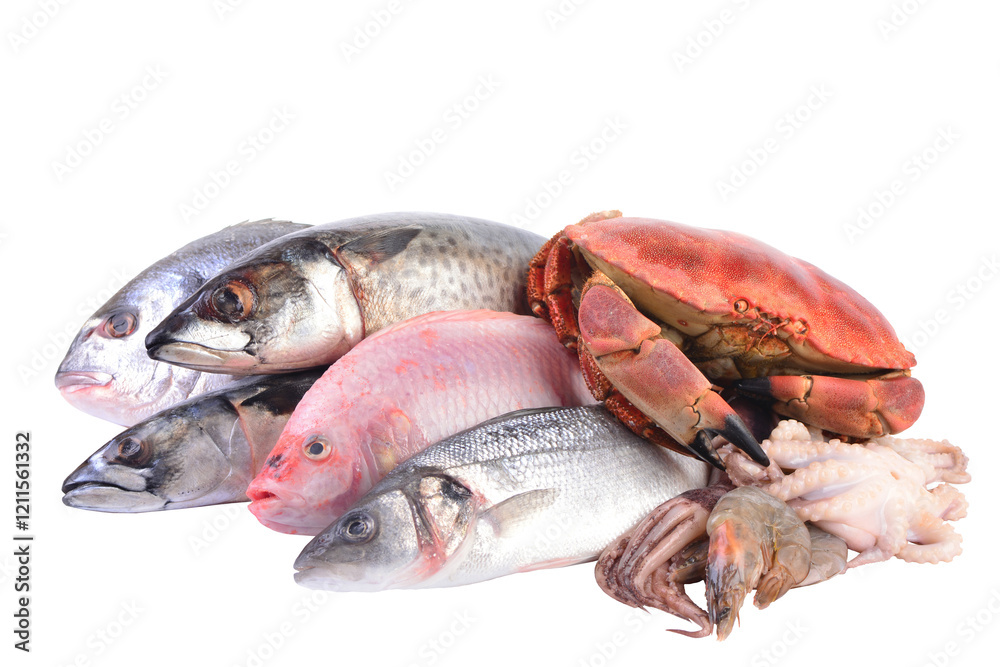 Fresh seafood isolated isolated