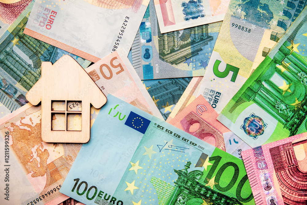 The symbol of the house stands on the background of the Euro
The symbol of the house stands on the background of the Euro