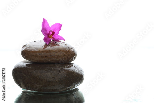 zen stones and orchid on white backgraound