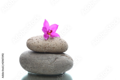 zen stones and orchid on a white backgraound
