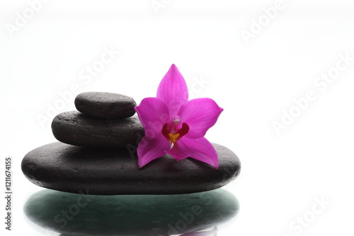 zen stones and orchid on white backgraound
