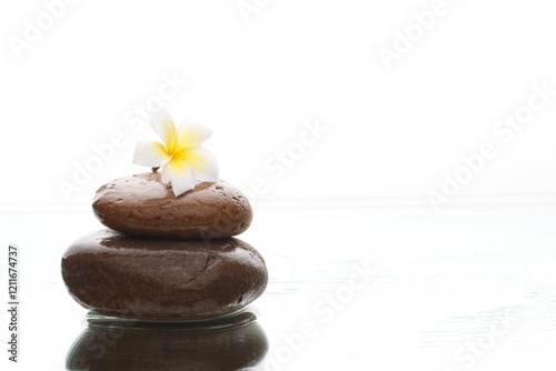 spa still life with frangipani flower