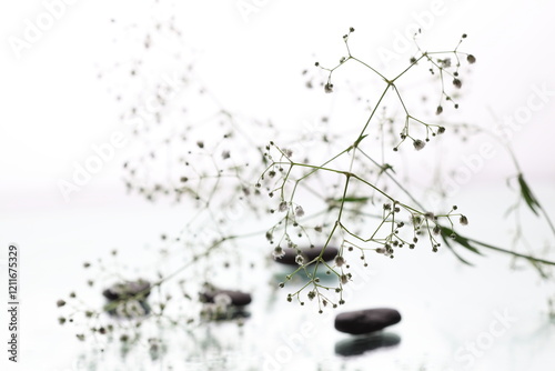 Zen stones with water drops