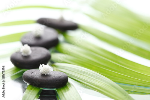 spa stones and leaves on white backgraound 