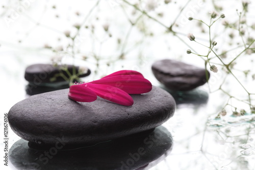 spa stones and flower on white background 