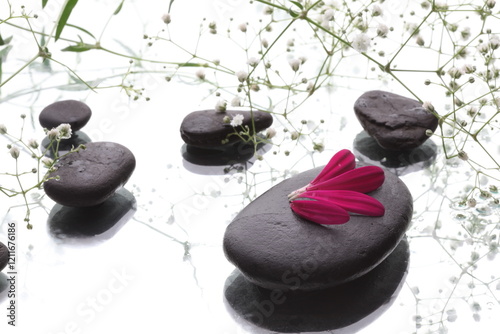 spa stones and flower on white background 