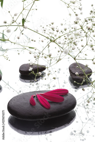 spa stones and flower on white background 