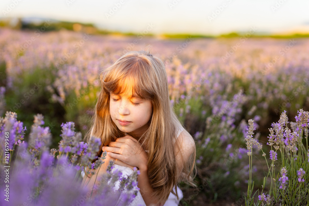 Golden Hour in Lavender Fields. Lavender Breeze travel Golden Hour in Lavender Fields. Lavender Breeze travel