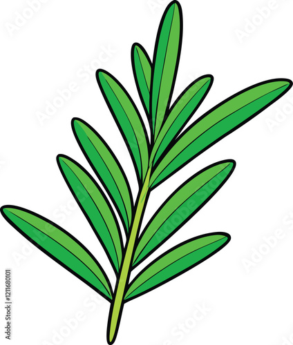 olive branch vector illustration