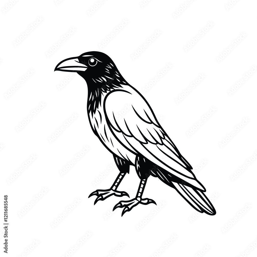 Obraz premium Crow silhouette vector on white background
