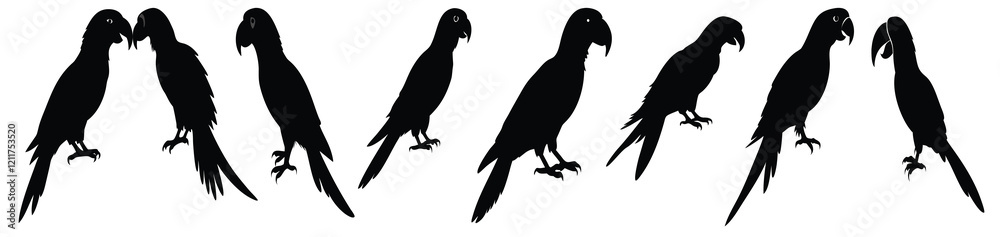 Set of Parrot bird ilhouette vector icon Set of Parrot bird ilhouette vector icon