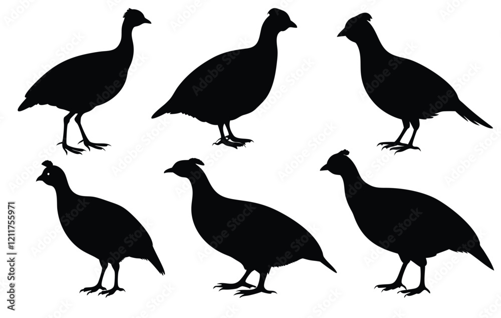 A set of quail-bird-silhouette bird vector illustration A set of quail-bird-silhouette bird vector illustration