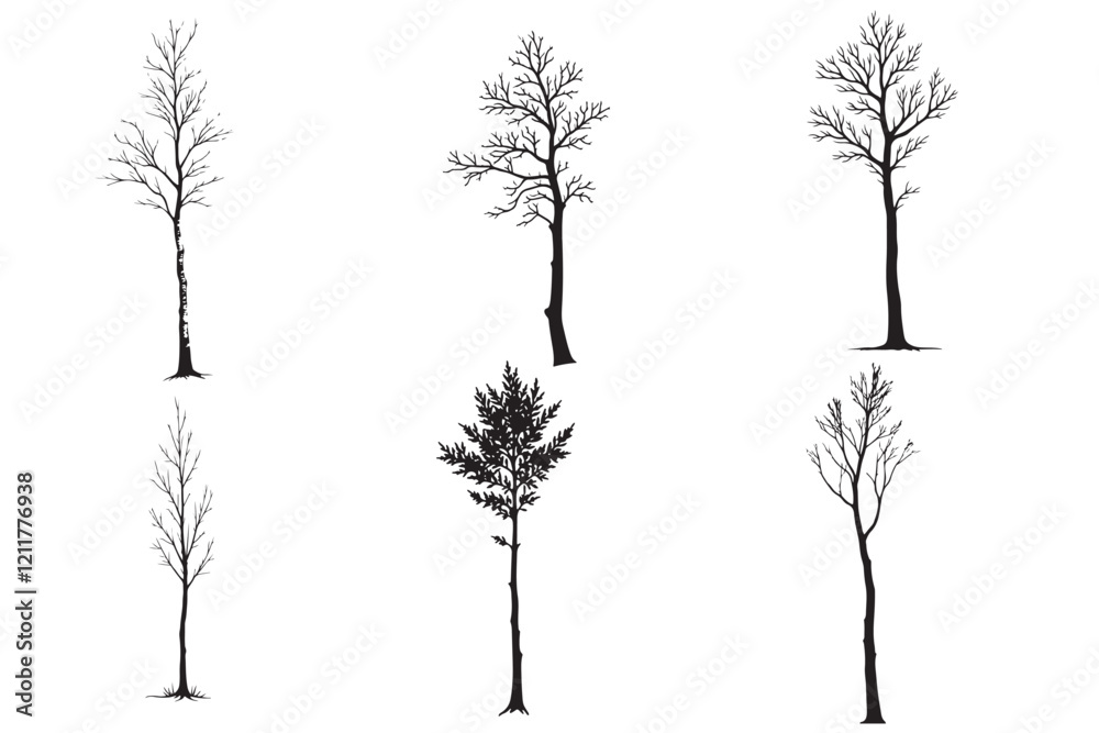 Fototapeta premium Tree Silhouette Vector Collection