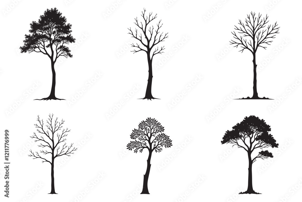 Obraz premium Tree Silhouette Vector Collection
