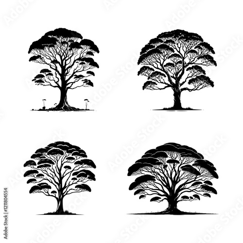 Detailed Monochrome Vector Silhouettes of the Karri Tree Isolated on a White Background